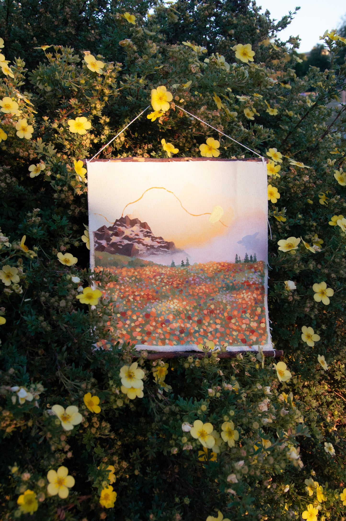 Season of Bloom