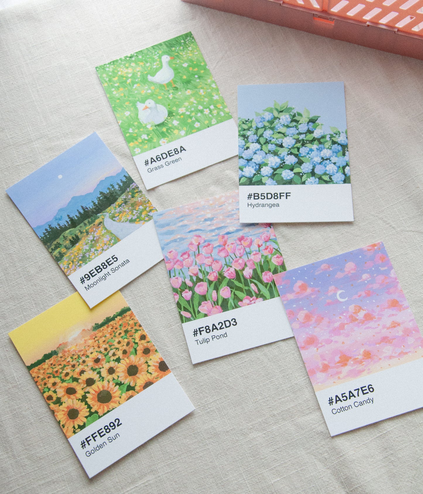 Color Cards (2023 Edition)
