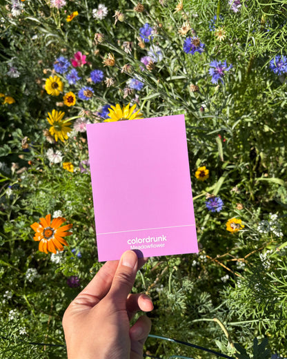Color Card Deck
