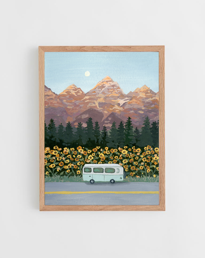 Sunflower Road