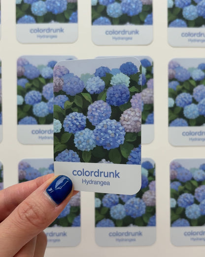 Color Card Sticker (Set of 8)