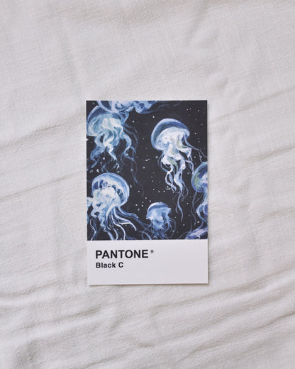 Color Cards